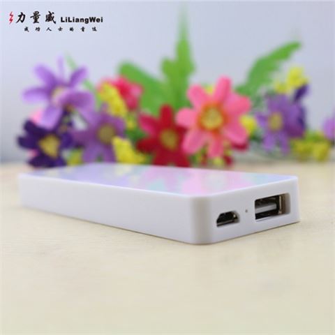 超薄聚合物移動(dòng)電源 蘋(píng)果條移動(dòng)電源充電寶定制