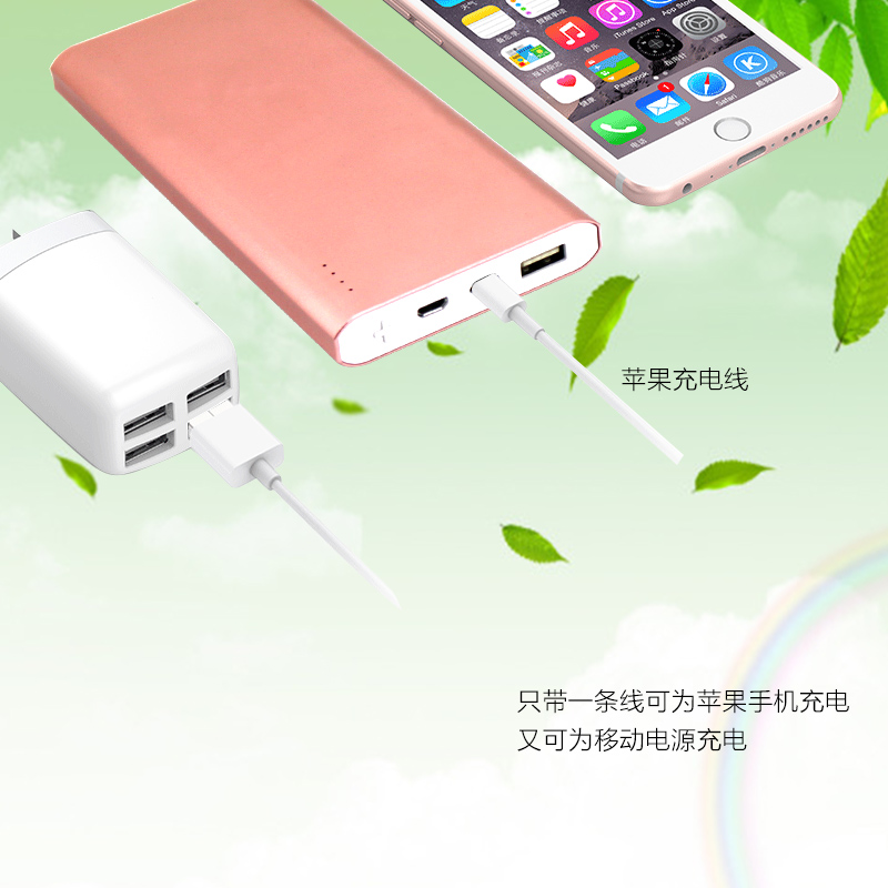 新款私模蘋果接口鋁合金外殼10000毫安聚合物移動電源